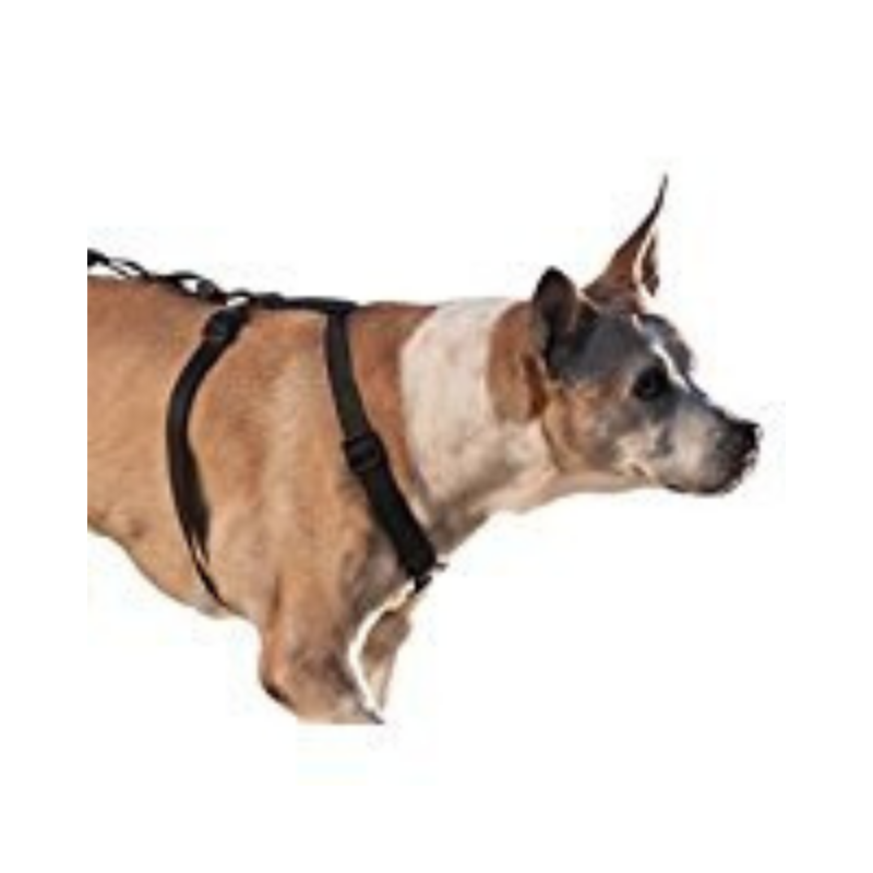 Dog Halter Harnesses Dog Harness