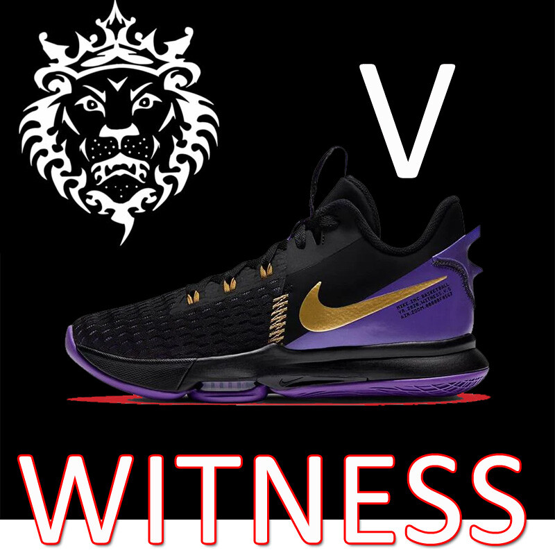 バスケットボール NIKE - Lebron witness ep  28.5 Nike - Lebron Witness V Ep - VegNonVeg