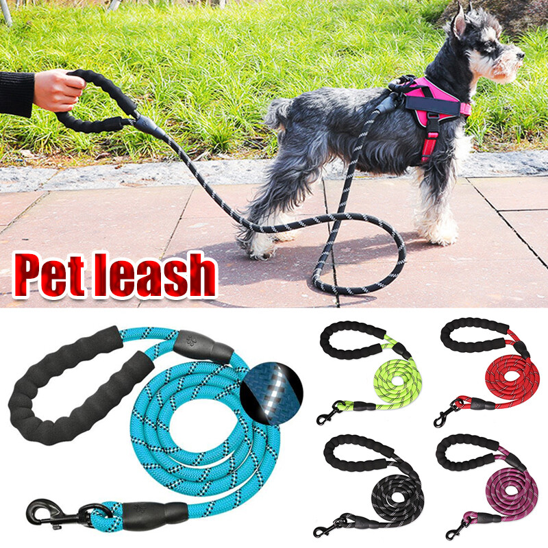 Are Dog Leads Safe