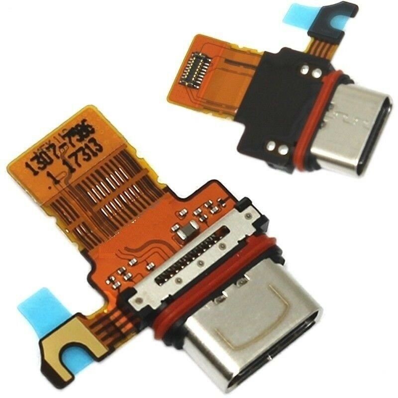 専用4 fmats-10-1339386-g001.jpg