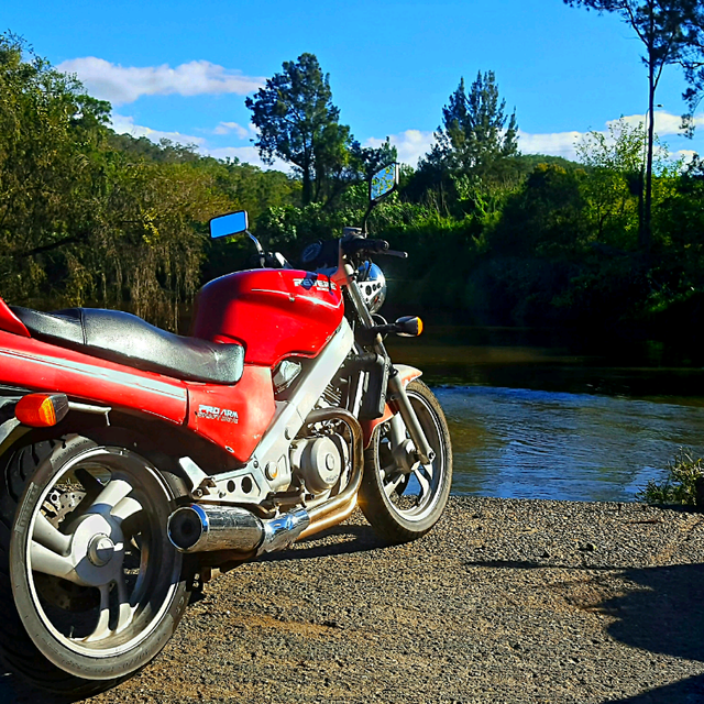 Honda revere 650
