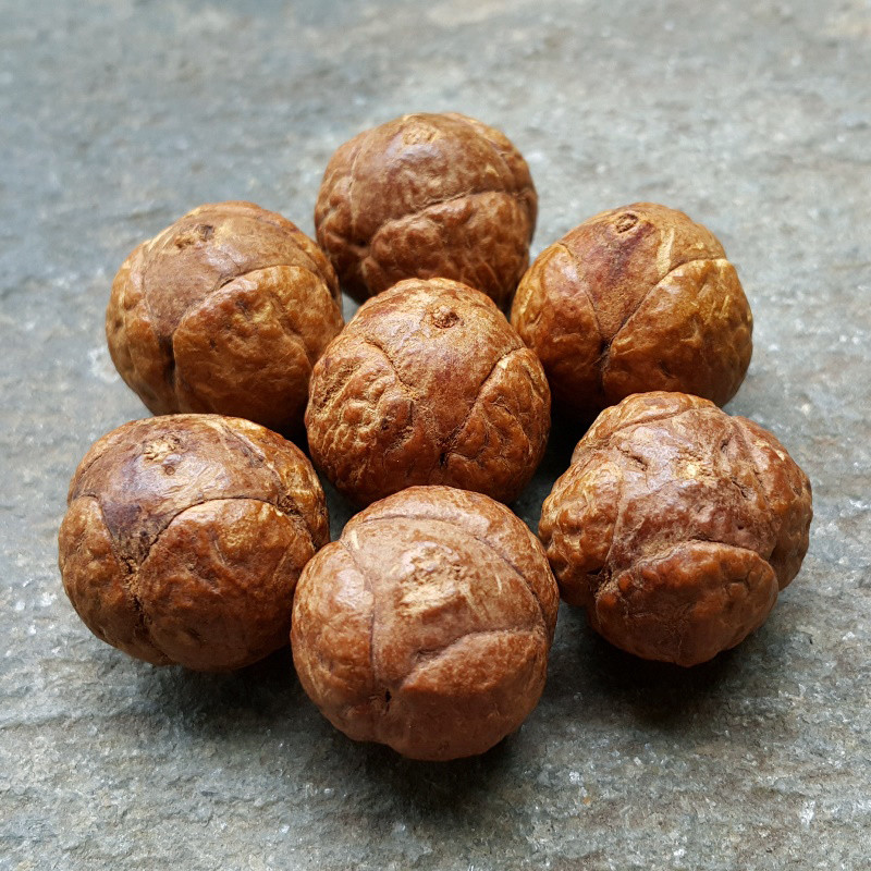 Buddha Chitta 13 Beads Bodhi Seed Genuine Indonesian Phoenix Eye Mala