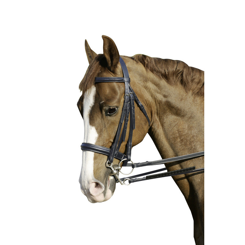 Euroriding Kandarenzaum englisches Leder mit schwedischem Reithalfter