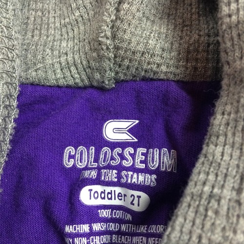 Toddler 2T LSU Tigers Hoody Shirt Sweater Champion Football Basketball Baseball