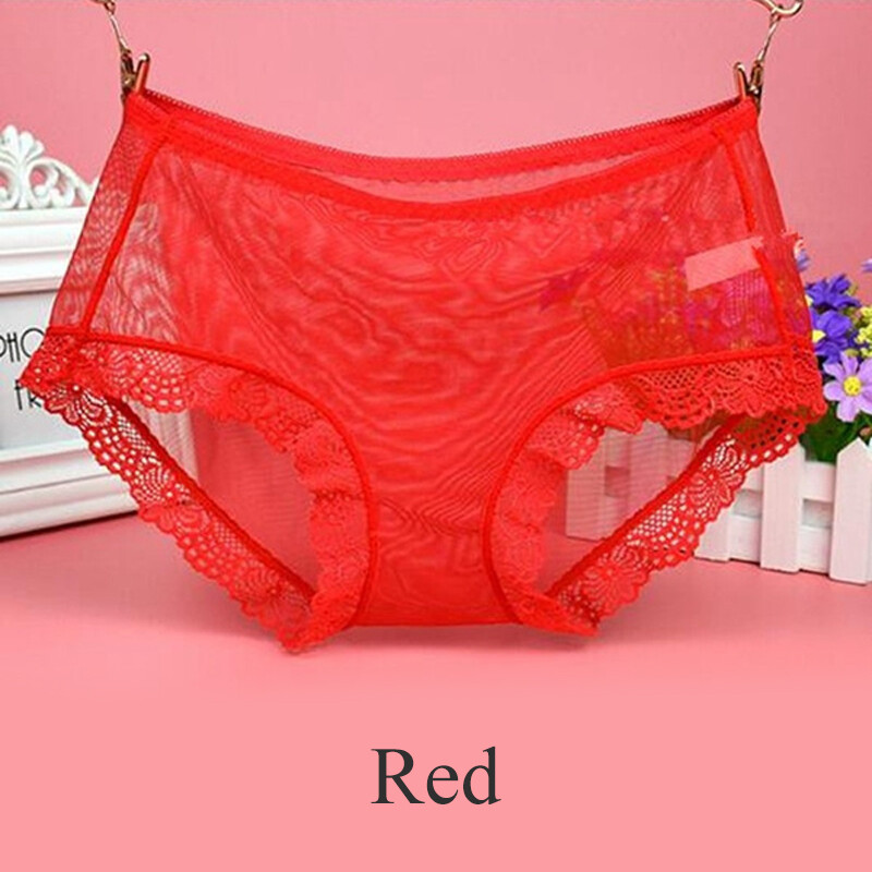 Womens Sheer Briefs Panties See Through Lace Mesh Knickers Underwear