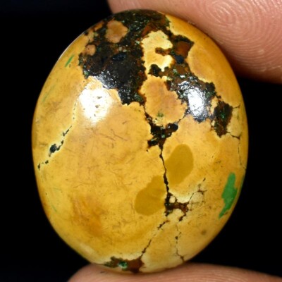 23.65Cts. Tibet Turquoise Oval Cabochon 100% Natural Gemstones 21x 26x 06x