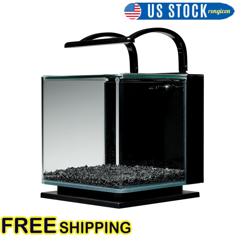 3 Gallon Glass Aquarium Kit with Rail Light Tabletop Display