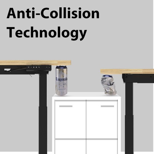 48" Electric Standing Desk, Height Adjustable with 48"x24" Wooden Top&Dual Motor