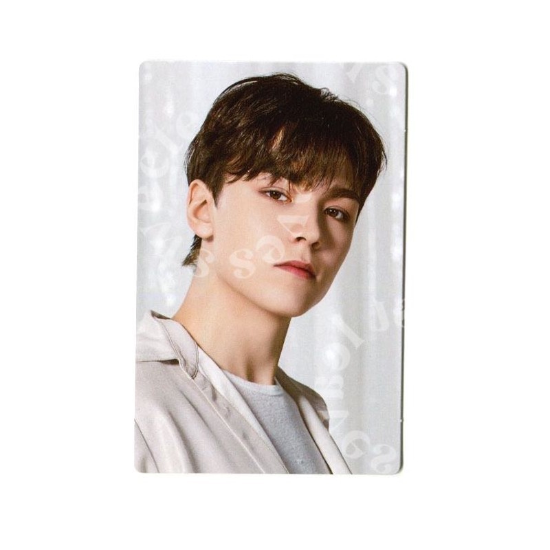 Seventeen Be The Sun World Tour Vernon trading photocard