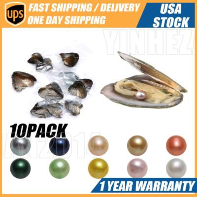 10pack Individually Wrapped Oysters whith Natural Pearl Holiday Birthday Gift US