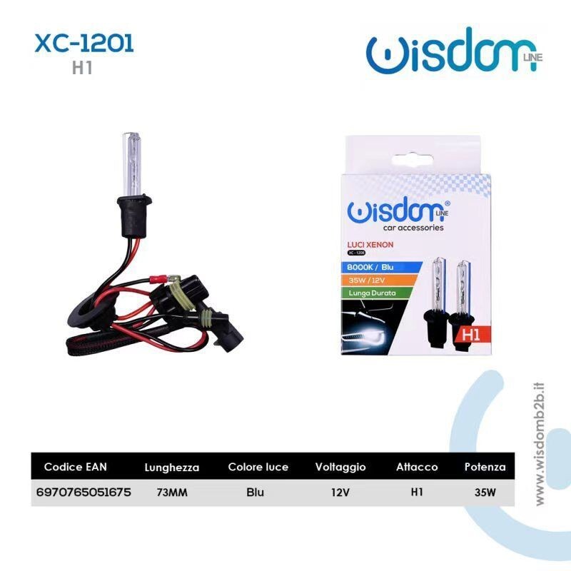 2 Lampadine H1 Luci Xenon Blu Auto 35W Lampade 8000K Xc-1201 wis