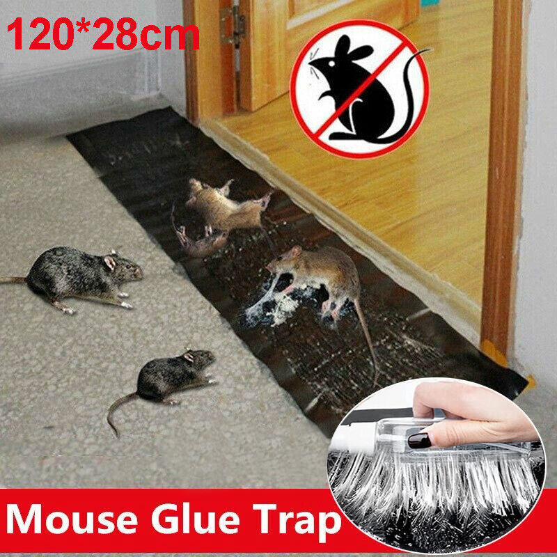 Rodent Catcher Rat Board Super Sticky Free To Cut