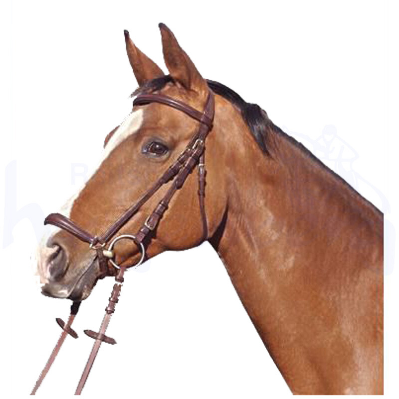 Euroriding Trensenzaum Seattle mit hann. Reithalfter