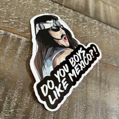 Super Troopers "You boys like Mexico?" Vinyl Sticker Decal