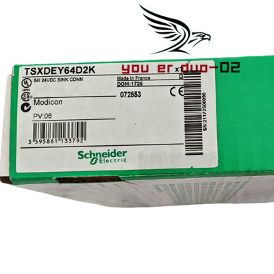 1 PC NEW Schneider ELECTRIC TSXDEY64D2K PLC Module In Box