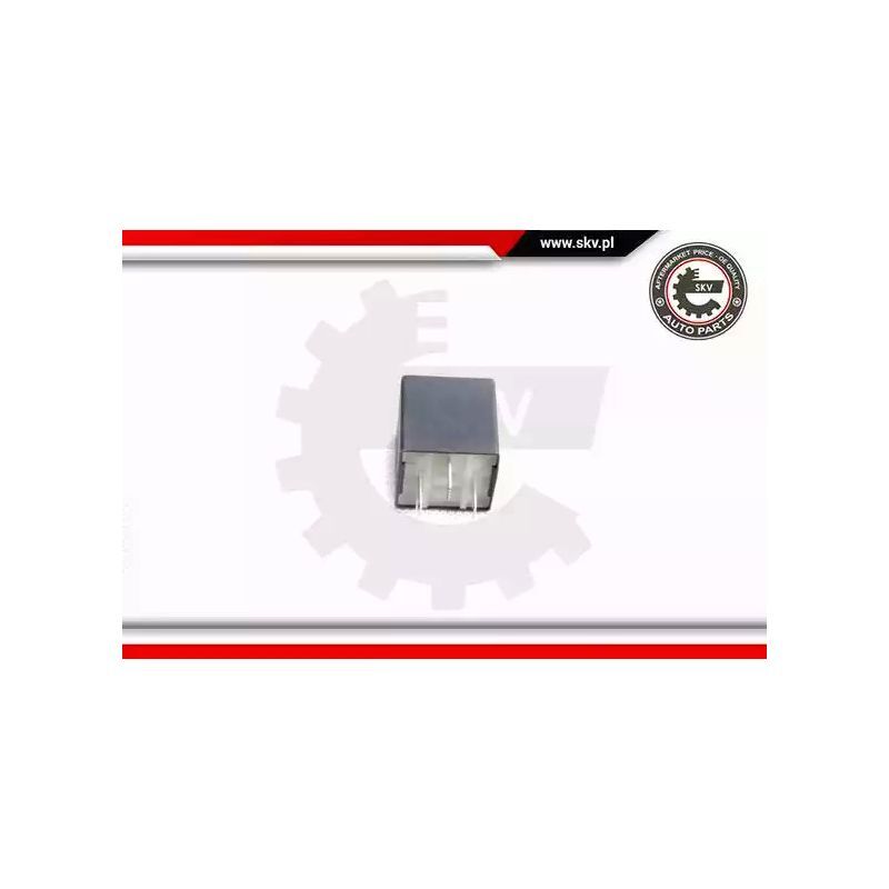 OriginalÂ® Esen Skv Relais, Kraftstoffpumpe FÃ¼R Vw Golf Iv Polo Passat Variant