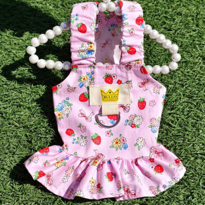 Hunderock Haustierkleid Weste Für Kleine Hunde Prinzessinnenkleid Chihuahua B