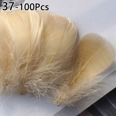 100pcs Natural Goose Feathers 8-12CM Swan Plume DIY Carnival Decoration Craft CA