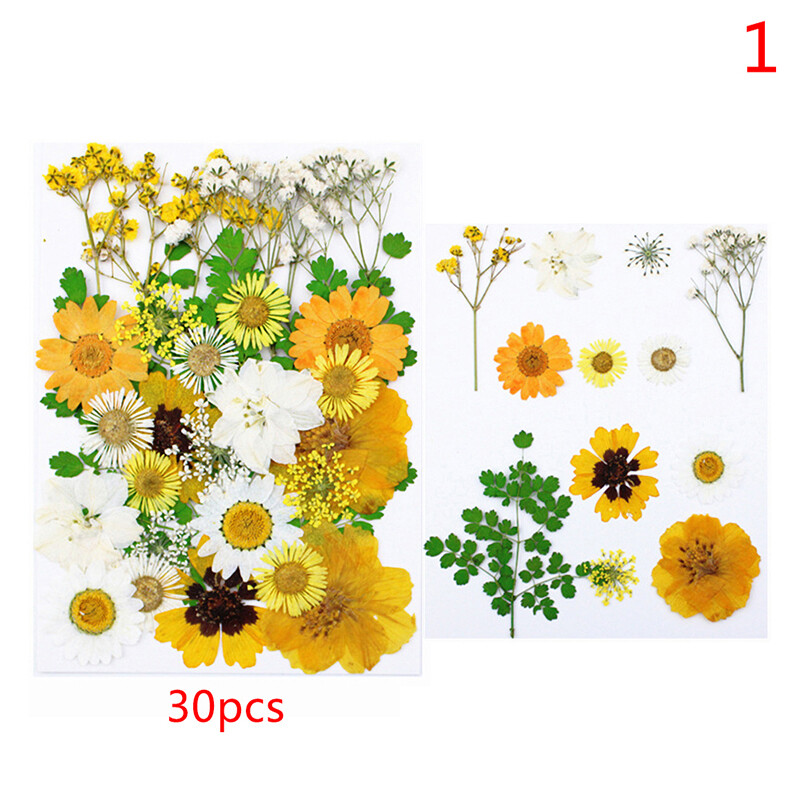 Dried Pressed Flowers for Resin Dry Leaves Bulk for Scrapbooking DIY