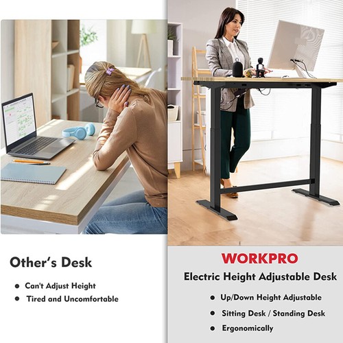 48" Electric Standing Desk, Height Adjustable with 48"x24" Wooden Top&Dual Motor