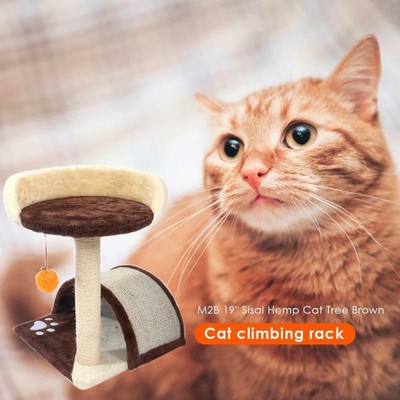 Cat Climbing Tree Board Kitten Scratch Hanging Toy
