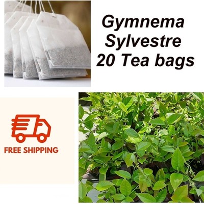 Gymnema Sylvestre Tea Lower Blood Sugar Weight Loss Best Organic Herbal Tea Bags