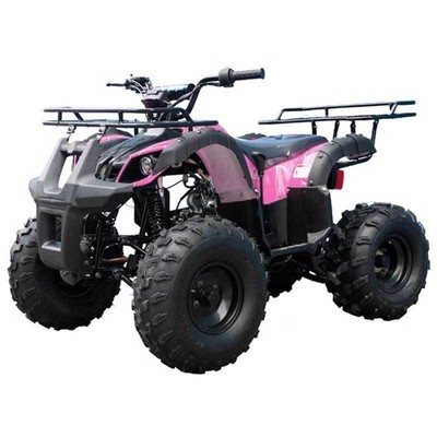 Mid size ATV 125cc Youth ATV Utility Quad Kids 4 wheeler FREE s/h 125CC ATV