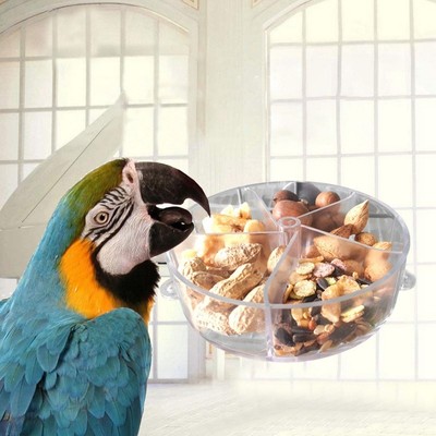 Pet Bird Feeder Parrot Bite Toy Wheel Foraging Case Puzzle Food Feed Dispenser