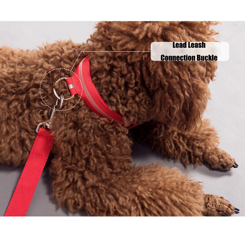 LED Dog Collar Blinking Night Flashing Light Up Glow Adjustable Pets Safety USA