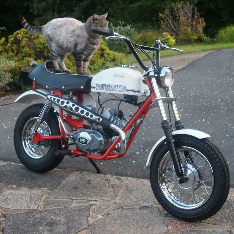Turbo Charger Monkey Bike