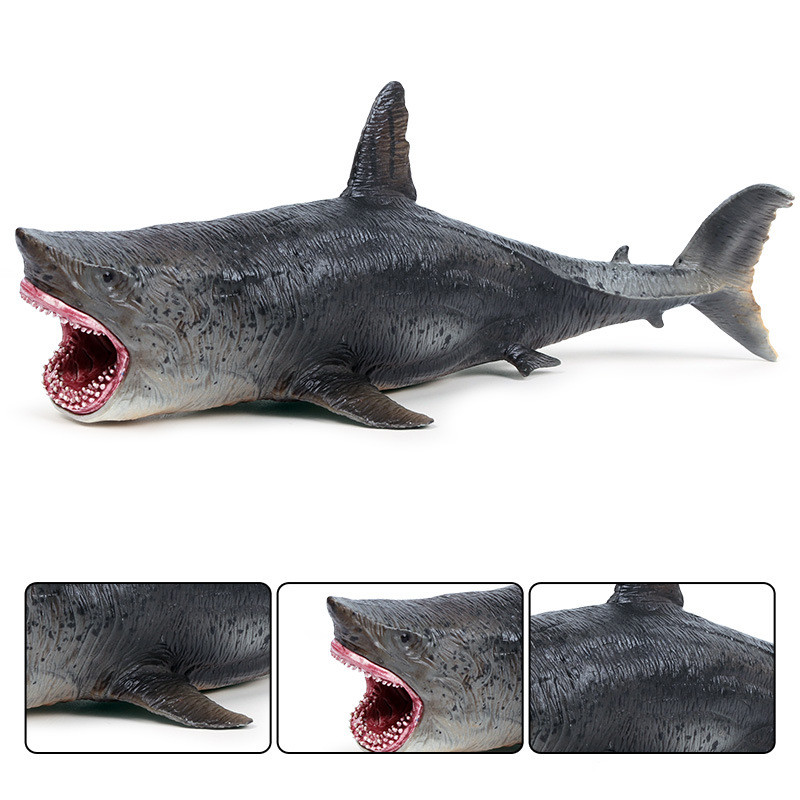 Megalodon Prehistoric Shark Ocean Animal Model Toy Education Figure