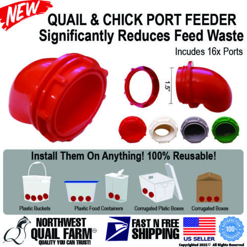 QUAIL & BABY CHICK PORT FEEDER - 16 FEEDER PORTS NO WASTE FEED SAVER