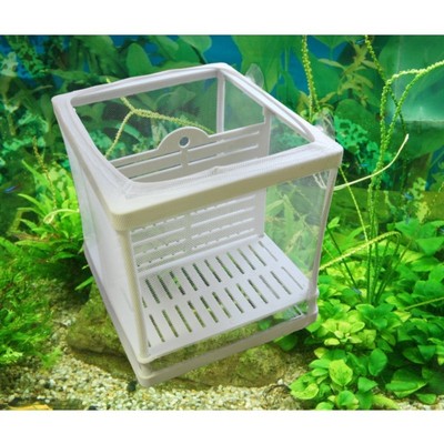 Aquarium Fish Tank Guppy Breeding Breeder Baby Fry Newborn Net Trap Box Hatchery
