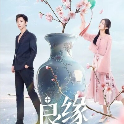 Chinese Drama TV liang yuan DVD Chinese Sub 良缘 Boxed 2024 爱情
