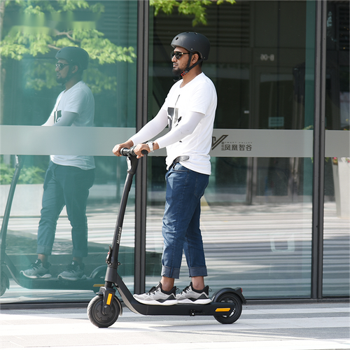 Silver Wing High-End 350W 40KM Range 25KM/H 10