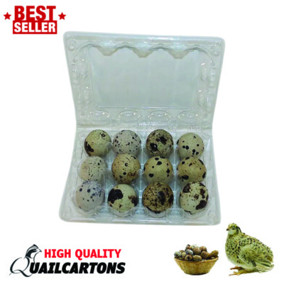 LARGE Jumbo Quail Egg Cartons 12 Egg Cell (3x4 with 33*45 Cell) For Larger Eggs