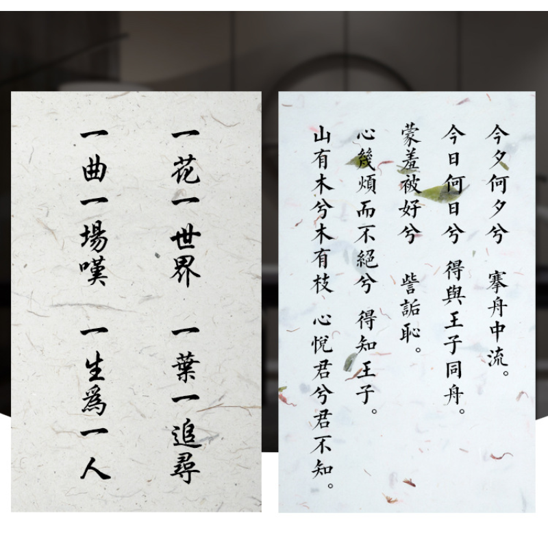 10 Fogli Cinese Tradizionale Calligrafia Xuan Carta Letterhead Scrittura Carta