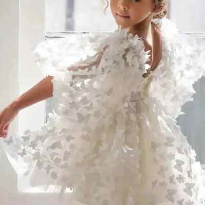 Baby Girl Dress Butterfly Child Tulle Dress For Vestido Pageant Party Birthday