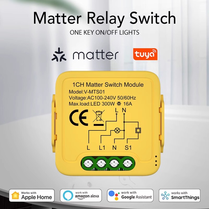 Relay Module Works For Alexa Home