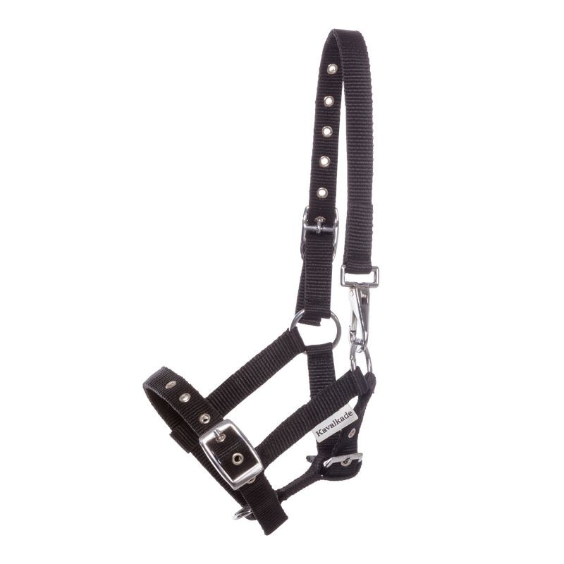 Fohlen- und Jährlingshalfter