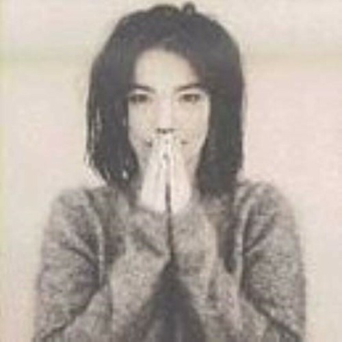 ビョーク Bjork THE ILLUSTRATED STORY ポールレスター ビョーク Bjork THE ILLUSTRATED STORY ポールレスター