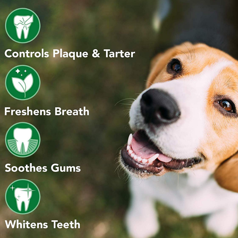 Dog Dental Gel Toothpaste Pack of 2 Formulated Teeth Bad Breath Fresh Cleaning