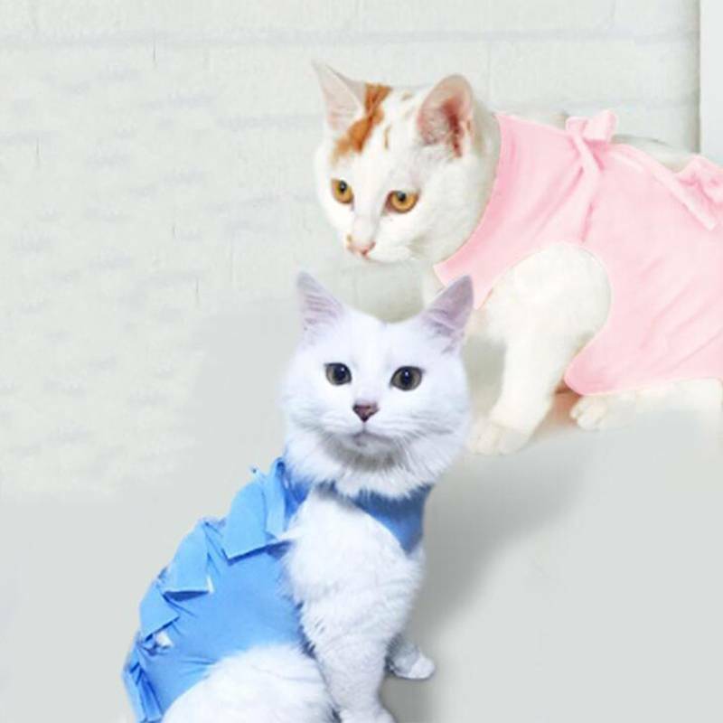 Cookie the Cat and clothes