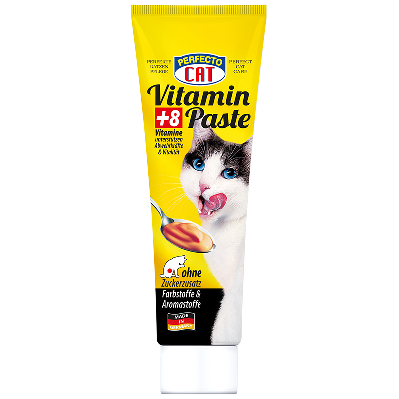 Schleck Snack für Katzen Vitaminpaste 100g Katzenfutter Belohnung