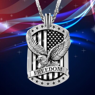 Mens Silver American Eagle w. US Flag Pendant Necklace Punk Biker Jewelry 24''