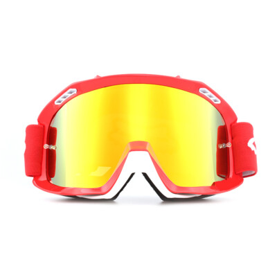 New 2024 Fox Racing Adult Main Stray MX / Off-road / ATV Dirt Bike Goggles