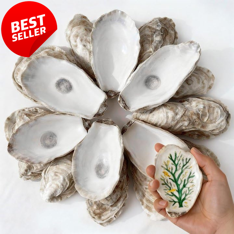 30PCS Large Oyster Shells 4-5in Natural Craft Shells DIY Beach Decor - US