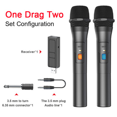 Wireless Professional 2 Channel Dual Microphone Cordless Handheld Mic System