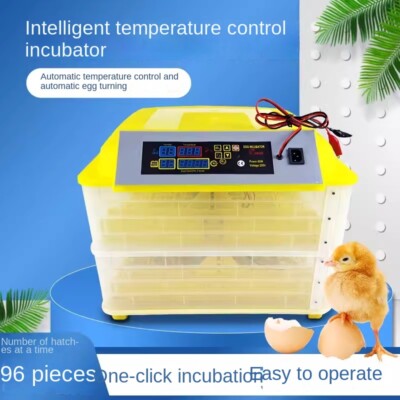 HHD 48 Eggs Incubator Controller Hatching Eggs Solar Powered With Rolling Eggs 