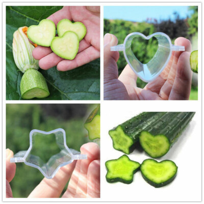 Plastic Cucumber Growth Forming Mold Heart/Star Fruit Shaping Growing Mold__-